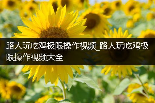 路人玩吃鸡极限操作视频_路人玩吃鸡极限操作视频大全