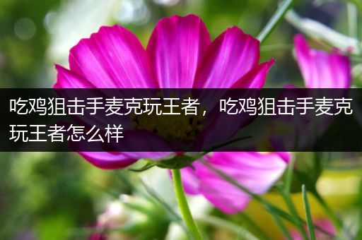 吃鸡狙击手麦克玩王者，吃鸡狙击手麦克玩王者怎么样