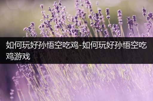 如何玩好孙悟空吃鸡-如何玩好孙悟空吃鸡游戏