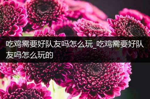 吃鸡需要好队友吗怎么玩_吃鸡需要好队友吗怎么玩的