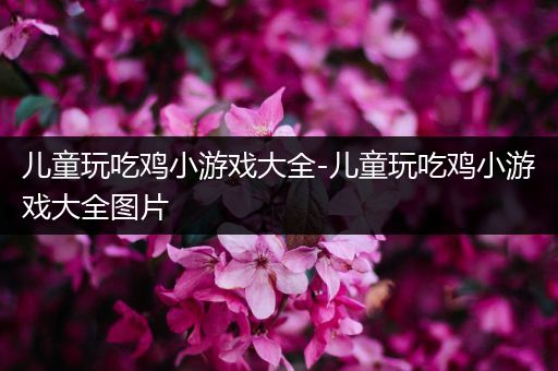 儿童玩吃鸡小游戏大全-儿童玩吃鸡小游戏大全图片