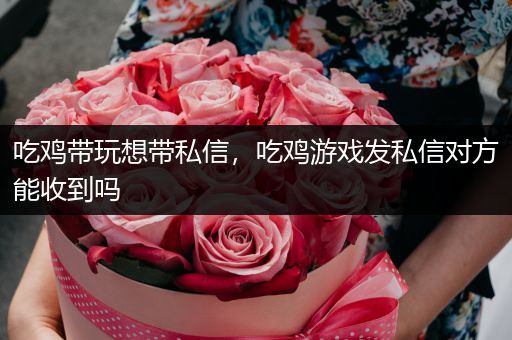 吃鸡带玩想带私信，吃鸡游戏发私信对方能收到吗