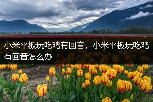 小米平板玩吃鸡有回音，小米平板玩吃鸡有回音怎么办