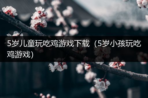 5岁儿童玩吃鸡游戏下载（5岁小孩玩吃鸡游戏）