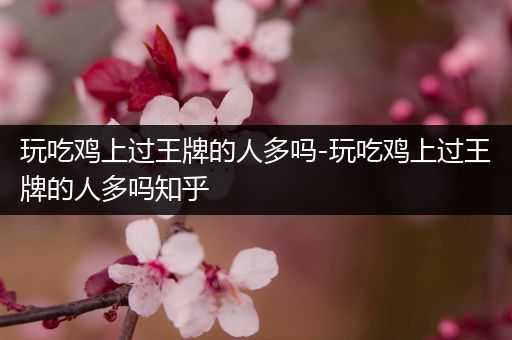 玩吃鸡上过王牌的人多吗-玩吃鸡上过王牌的人多吗知乎