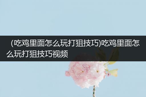 （吃鸡里面怎么玩打狙技巧)吃鸡里面怎么玩打狙技巧视频
