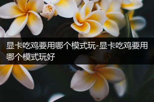 显卡吃鸡要用哪个模式玩-显卡吃鸡要用哪个模式玩好
