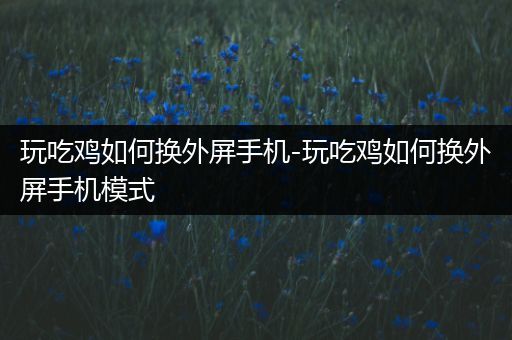 玩吃鸡如何换外屏手机-玩吃鸡如何换外屏手机模式