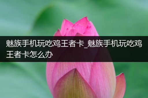 魅族手机玩吃鸡王者卡_魅族手机玩吃鸡王者卡怎么办