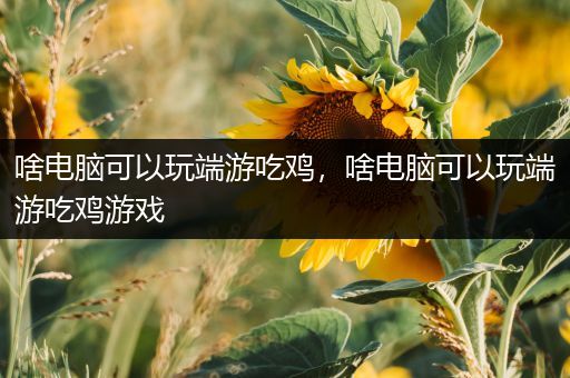 啥电脑可以玩端游吃鸡，啥电脑可以玩端游吃鸡游戏