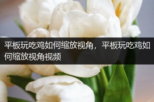 平板玩吃鸡如何缩放视角，平板玩吃鸡如何缩放视角视频