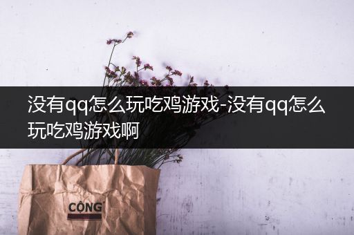 没有qq怎么玩吃鸡游戏-没有qq怎么玩吃鸡游戏啊
