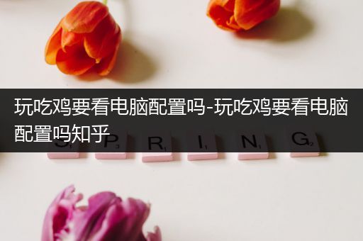 玩吃鸡要看电脑配置吗-玩吃鸡要看电脑配置吗知乎