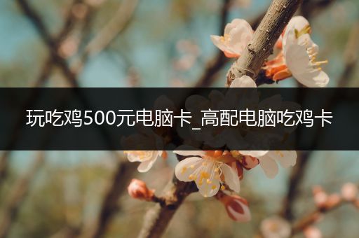 玩吃鸡500元电脑卡_高配电脑吃鸡卡