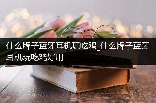 什么牌子蓝牙耳机玩吃鸡_什么牌子蓝牙耳机玩吃鸡好用