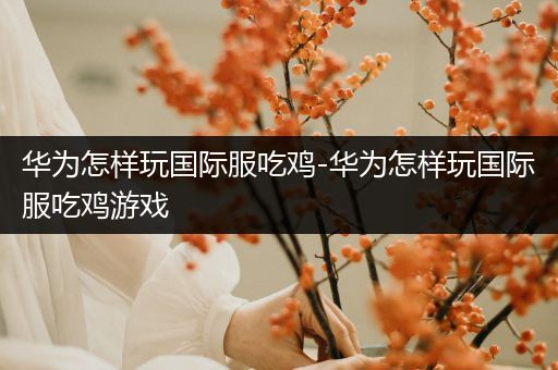 华为怎样玩国际服吃鸡-华为怎样玩国际服吃鸡游戏