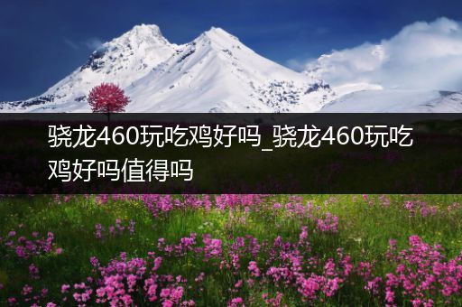 骁龙460玩吃鸡好吗_骁龙460玩吃鸡好吗值得吗