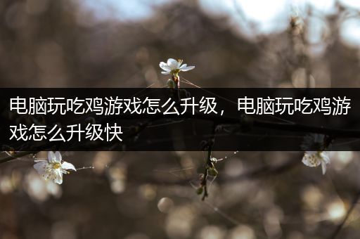 电脑玩吃鸡游戏怎么升级，电脑玩吃鸡游戏怎么升级快