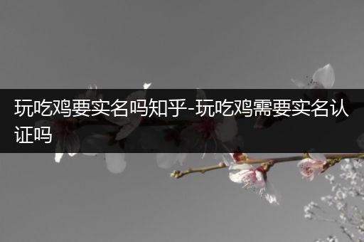 玩吃鸡要实名吗知乎-玩吃鸡需要实名认证吗