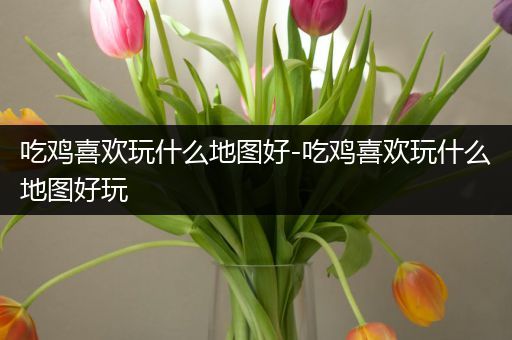 吃鸡喜欢玩什么地图好-吃鸡喜欢玩什么地图好玩