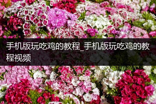 手机版玩吃鸡的教程_手机版玩吃鸡的教程视频