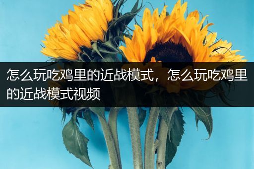怎么玩吃鸡里的近战模式，怎么玩吃鸡里的近战模式视频