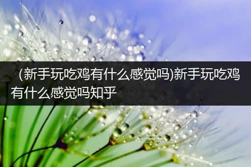 （新手玩吃鸡有什么感觉吗)新手玩吃鸡有什么感觉吗知乎