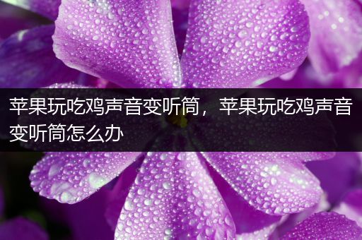 苹果玩吃鸡声音变听筒，苹果玩吃鸡声音变听筒怎么办