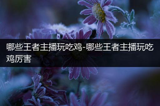 哪些王者主播玩吃鸡-哪些王者主播玩吃鸡厉害