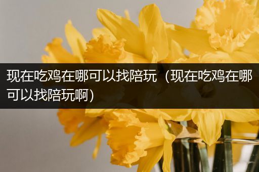 现在吃鸡在哪可以找陪玩（现在吃鸡在哪可以找陪玩啊）