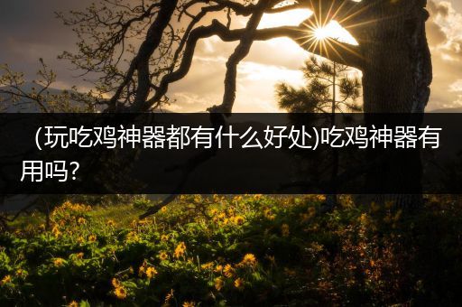 （玩吃鸡神器都有什么好处)吃鸡神器有用吗?