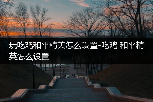 玩吃鸡和平精英怎么设置-吃鸡 和平精英怎么设置
