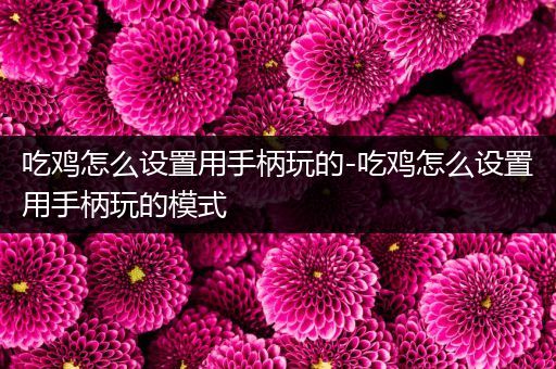 吃鸡怎么设置用手柄玩的-吃鸡怎么设置用手柄玩的模式