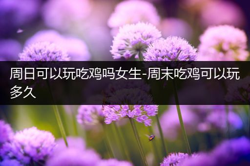 周日可以玩吃鸡吗女生-周末吃鸡可以玩多久