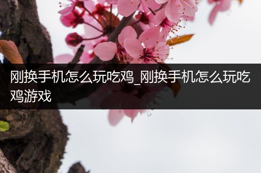 刚换手机怎么玩吃鸡_刚换手机怎么玩吃鸡游戏