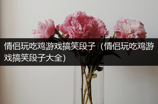 情侣玩吃鸡游戏搞笑段子（情侣玩吃鸡游戏搞笑段子大全）
