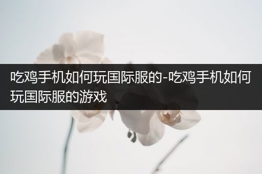 吃鸡手机如何玩国际服的-吃鸡手机如何玩国际服的游戏
