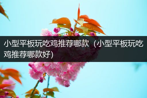 小型平板玩吃鸡推荐哪款（小型平板玩吃鸡推荐哪款好）