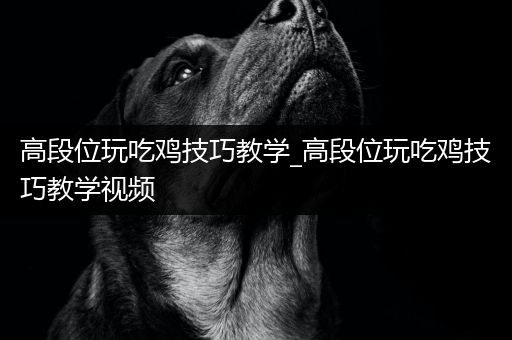 高段位玩吃鸡技巧教学_高段位玩吃鸡技巧教学视频