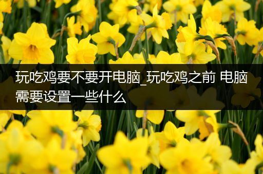 玩吃鸡要不要开电脑_玩吃鸡之前 电脑需要设置一些什么