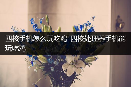 四核手机怎么玩吃鸡-四核处理器手机能玩吃鸡