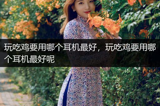 玩吃鸡要用哪个耳机最好，玩吃鸡要用哪个耳机最好呢