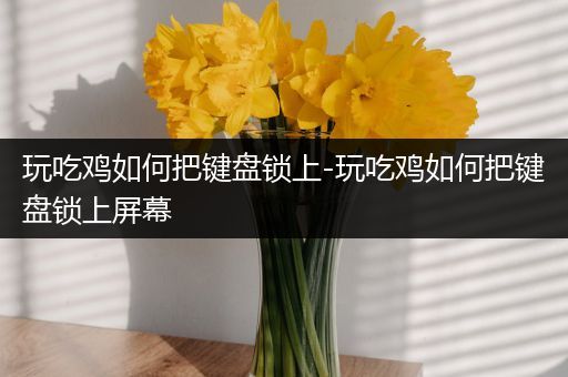 玩吃鸡如何把键盘锁上-玩吃鸡如何把键盘锁上屏幕