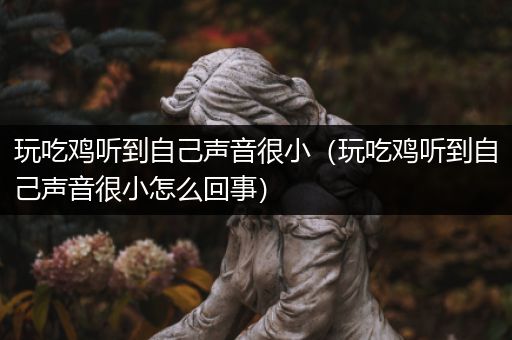 玩吃鸡听到自己声音很小（玩吃鸡听到自己声音很小怎么回事）