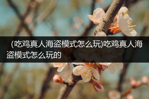 （吃鸡真人海盗模式怎么玩)吃鸡真人海盗模式怎么玩的