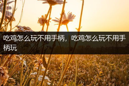 吃鸡怎么玩不用手柄，吃鸡怎么玩不用手柄玩