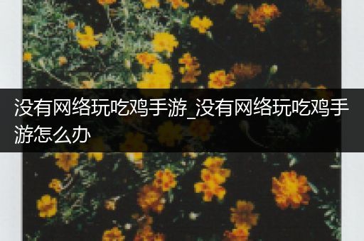 没有网络玩吃鸡手游_没有网络玩吃鸡手游怎么办