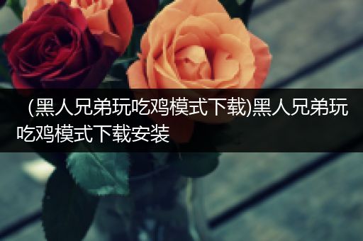 （黑人兄弟玩吃鸡模式下载)黑人兄弟玩吃鸡模式下载安装