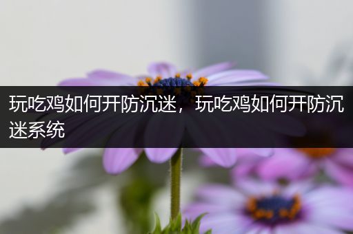 玩吃鸡如何开防沉迷，玩吃鸡如何开防沉迷系统