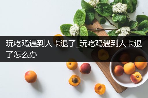 玩吃鸡遇到人卡退了_玩吃鸡遇到人卡退了怎么办
